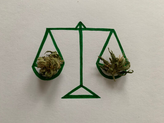 Die Legale Welt von CBD: Ein Blick auf die rechtlichen Aspekte - Die Legale Welt von CBD: Ein Blick auf die rechtlichen Aspekte